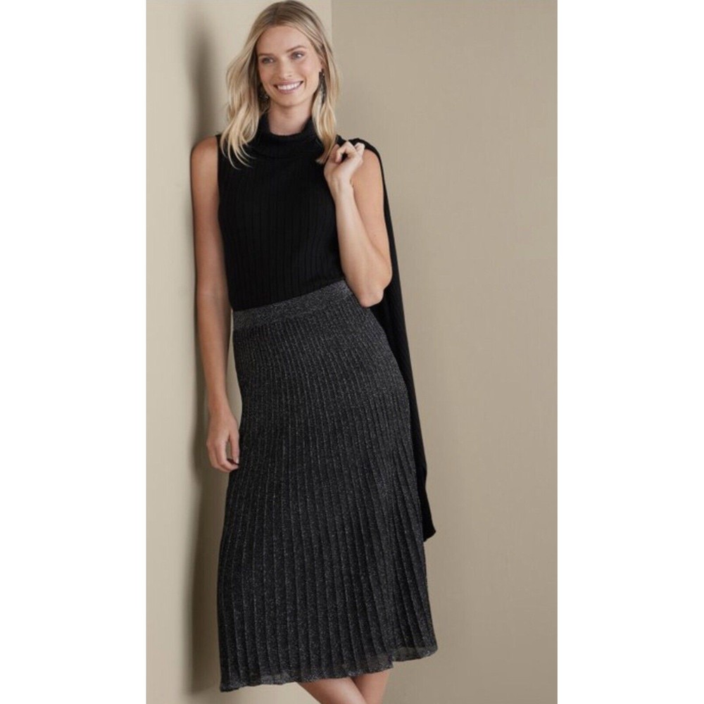 SOFT SURROUNDINGS Black Silver Pleated SKIRT MEDIUM M NWT